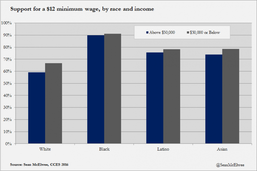 Support for a $12 minimum wage, by race and income
