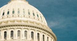 The US Capitol in Washington, DC. 