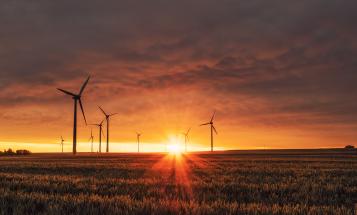 Wind farm at sunset