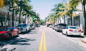 View of car and palm-lined Florida street