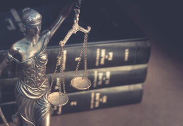 Lady justice and legal books