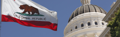 California state flag flying in front of the California State Capitol building dome, representing state-level democratic institutions and governance