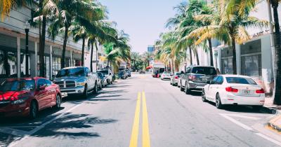 View of car and palm-lined Florida street