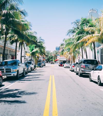 View of car and palm-lined Florida street