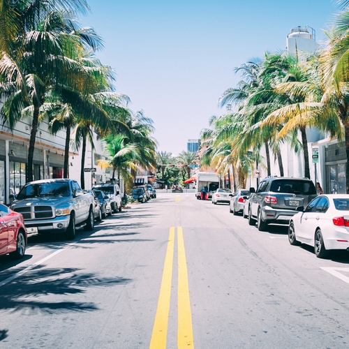 View of car and palm-lined Florida street