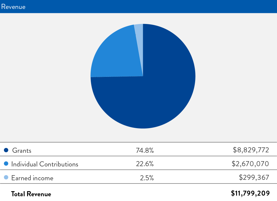 FY2019 Revenue graph