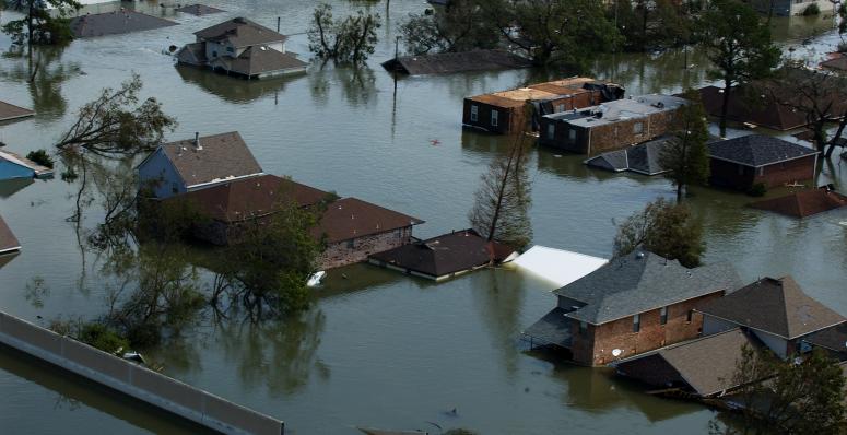 Years After Katrina The Black Poor Remains At High Risk Demos 